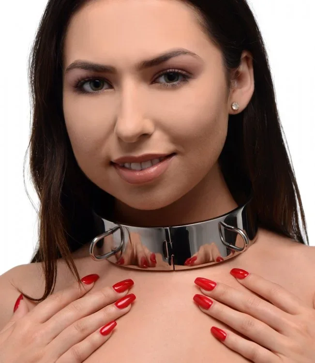 Abschließbares Halsband aus Edelstahl