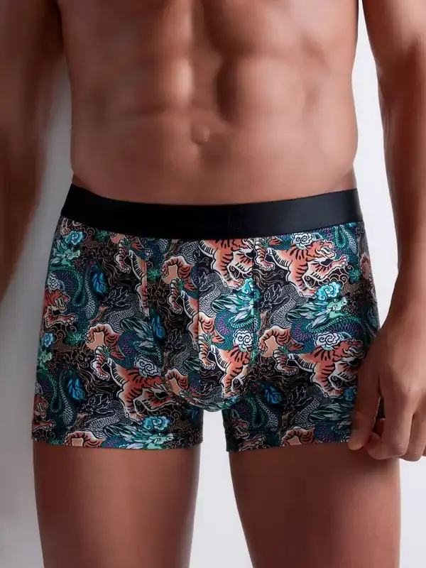 Aubade Tiger and Dragon Boxer, print