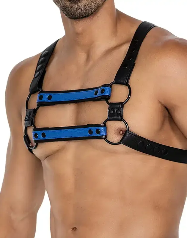 Blau-Schwarzer 4-Wege-Harness