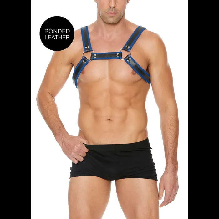 Blau-Schwarzes Bulldog Harness mit Schnallen – S/M