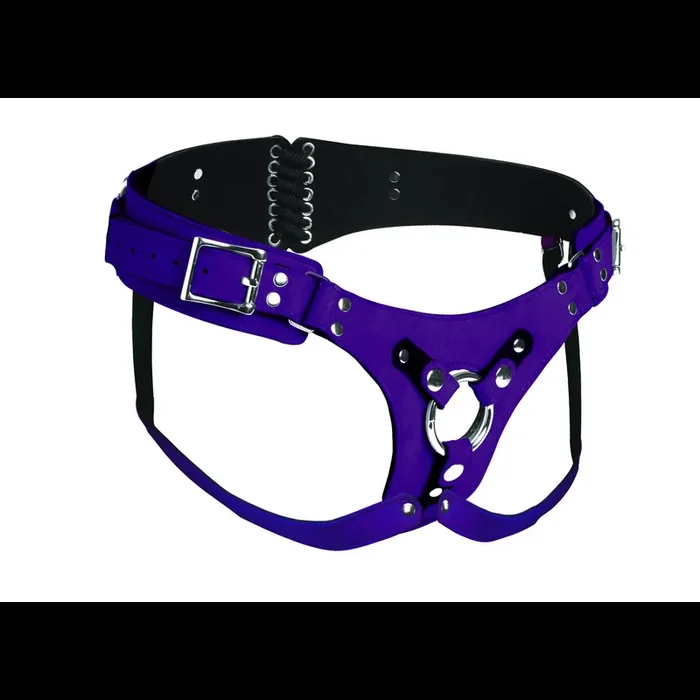 Bodice Deluxe – Leather Corset Harness – Purple