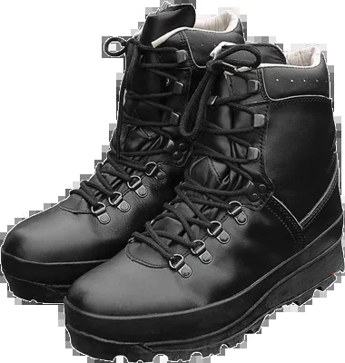 BW Bergstiefel (Schuhgrösse: 45)