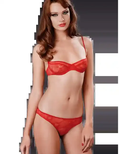 CHAPERON ROUGE Slip