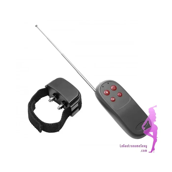 CockRing mit elektrischen Schocks aus der Distanz