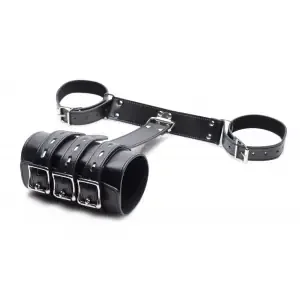 Constraint Accessory for Arms