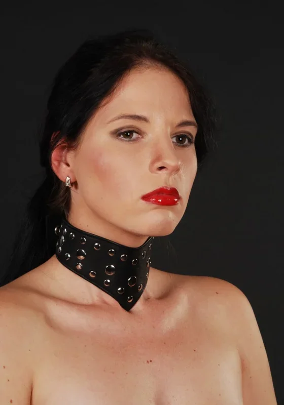 dekoratives weiches Halsband mit Nietenverzierung