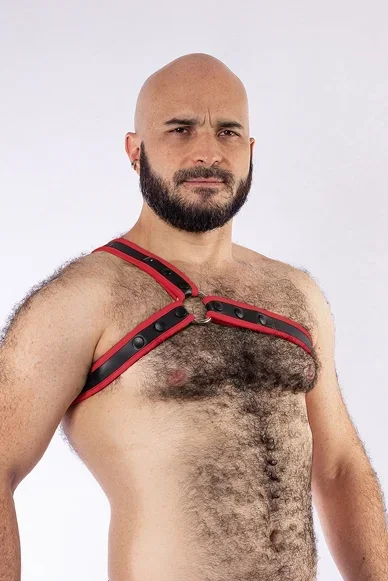 Dreieckige Harness
