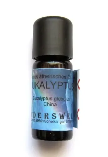 Eukalyptus – ätherisches Öl