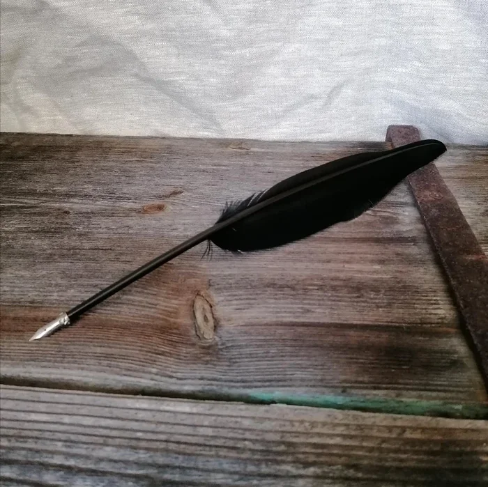 Federkiel mit Metallschreibfeder