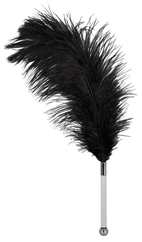 Federstab mit Plexiglas-Griff Bad Kitty Schwarz