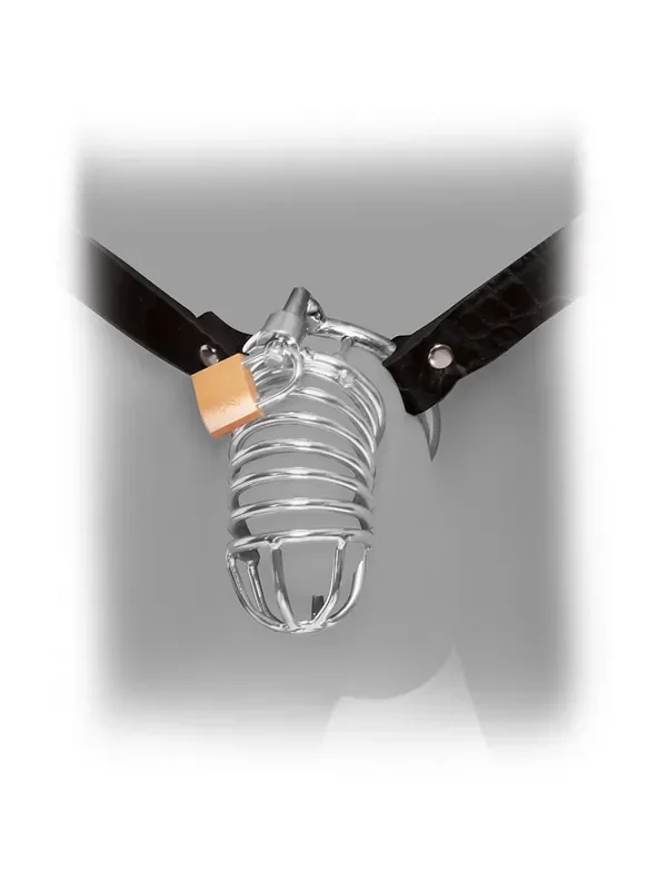 Fetish Fantasy Extreme Chastity Belt Peniskäfig mit Hüftgurt, silber