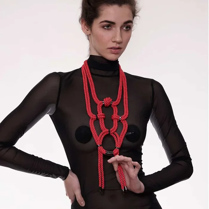 FIGURE OF A Resu Collier Rouge