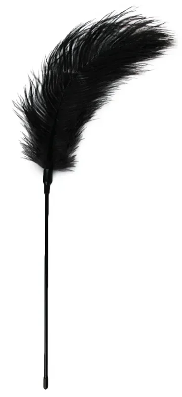 Fouet à plumes noir