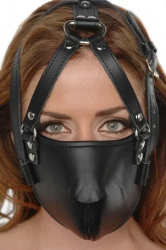 Gesichts Harness