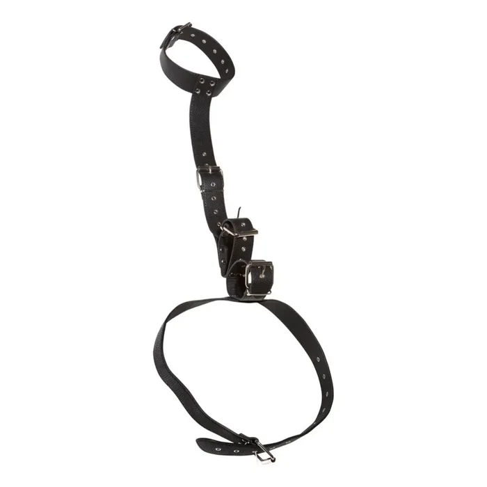 Hals-Handfessel mit Taillengurt