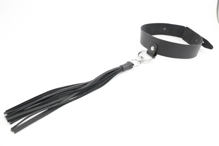 Halsband mit Peitsche abnhembar schwarz