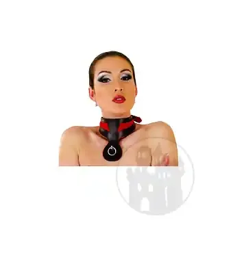 Halsband zweifarbig