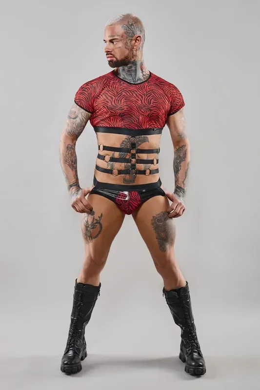 Harness T-Shirt mit Zebramuster