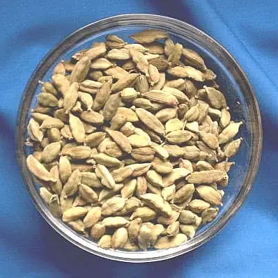 Kardamom mit Schale – 50gr