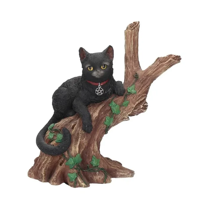 Katze Onyx im Baum