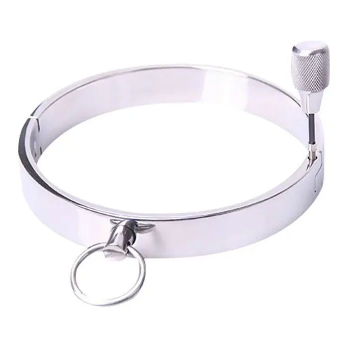 Kleines Halsband aus Metall