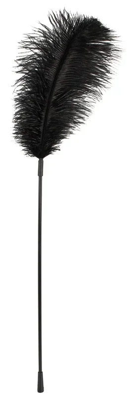 Langer Federstab Bad Kitty Schwarz