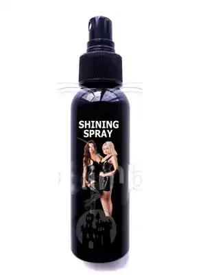 Latex Glanz- und Pflegespray