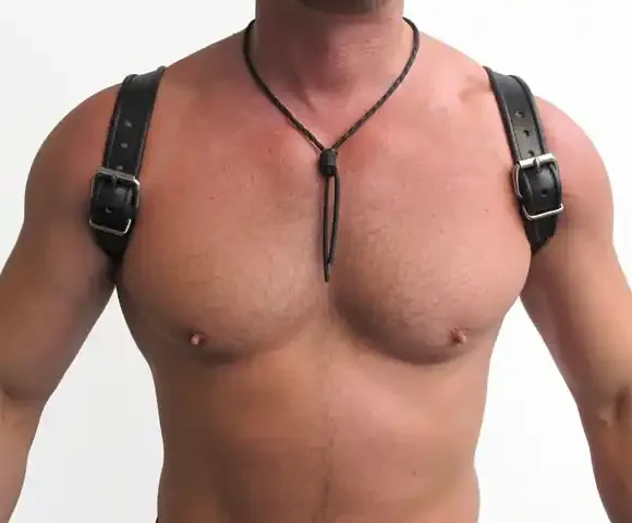 Leder Halftergeschirr Harness (Farbe Schwarz, Grösse L-XL)