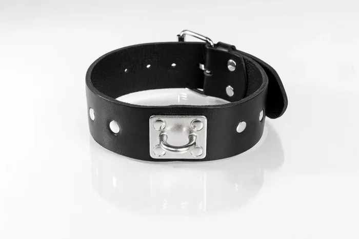 Leder-Halsband mit Nieten
