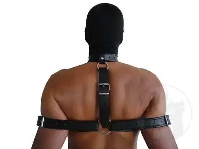 Leder Halsband mit Rückenfessel