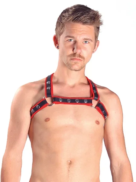 Leder Harness ‚X‘ rot