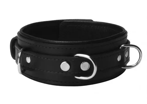 Lederhalsband abschließbar
