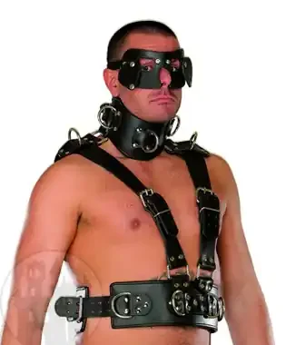 Lederherrenharness m. Halskrause