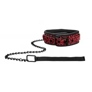 Luxuriöses rotes Halsband und Leine
