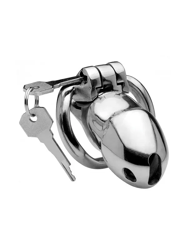 Master Series Rikers Steel Edelstahl-Peniskäfig