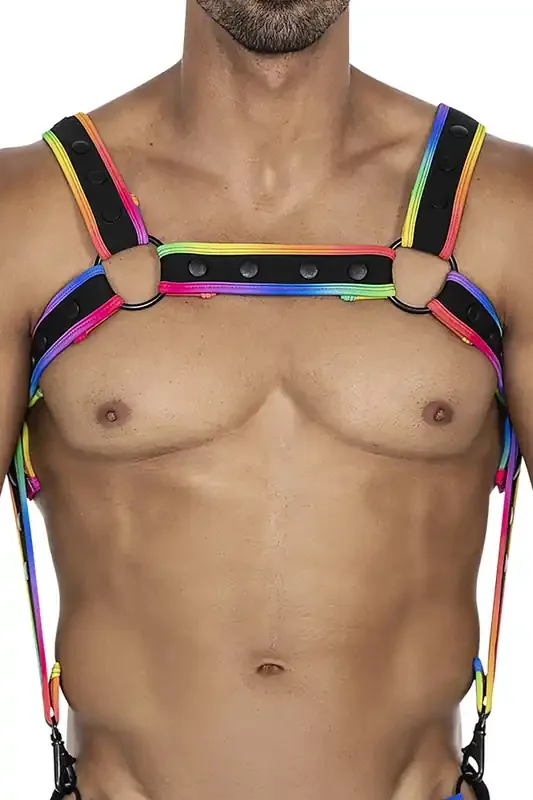 Mehrfarbiger Brust-Harness