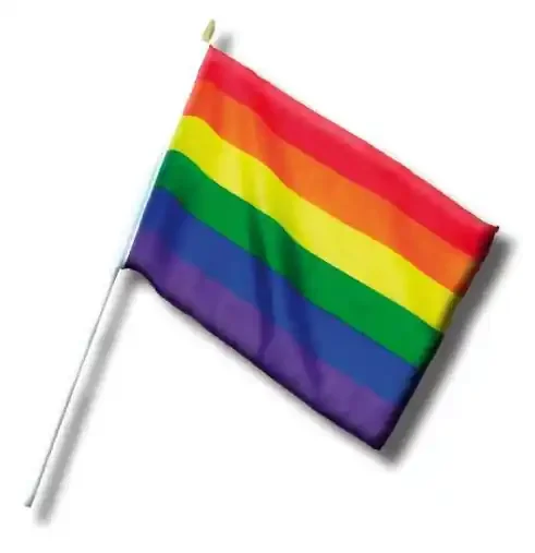 Mini-Flagge Rainbow 20 x 30cm