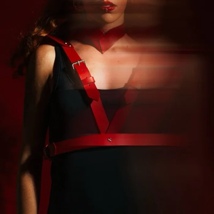 NIAR House Harnais 73217 Rouge