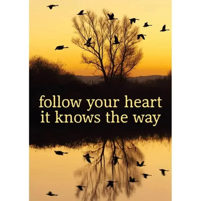 Postkarte – Follow your heart