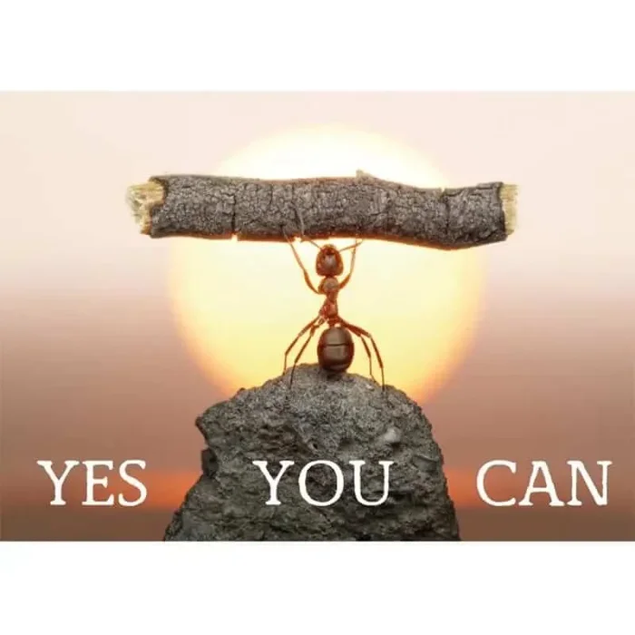 Postkarte – Yes you can