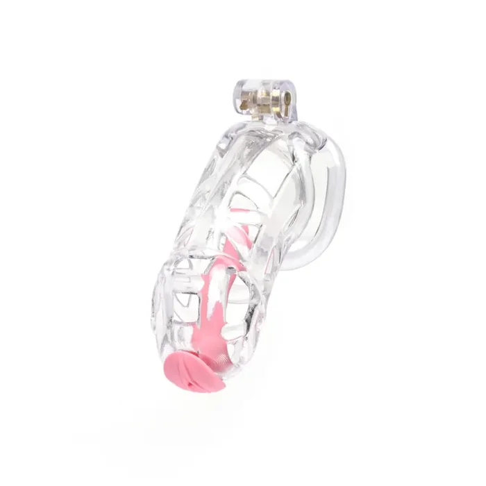 Premium-Keuschheitskäfig Guardian Clear – 4