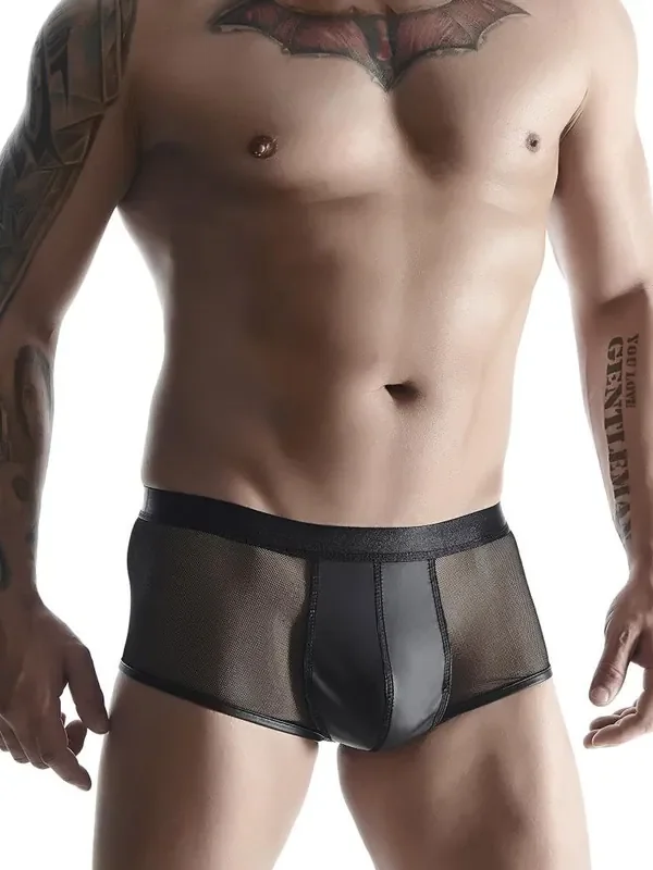 Regnes Fetish Planet SH001 Wetlook-Netz-Short, schwarz
