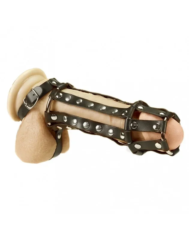 Rimba Penisrohr mit Innendornen & Hodensackriemen – Leder | 11–15 cm