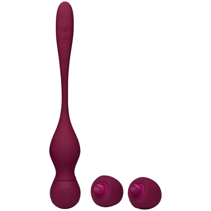 Satisfyer Love Birds Vary Beckenbodentrainer mit Fernbedienung