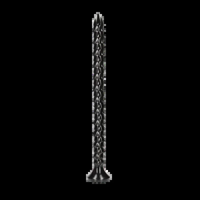 Scaled Anal Snake – 20‘‘/ 50 cm