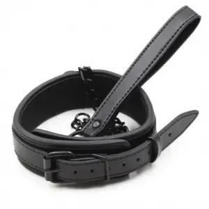 Schwarzes Halsband + Leine