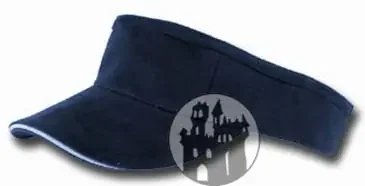 Sonnenschild – blau – mit Klettverschluss