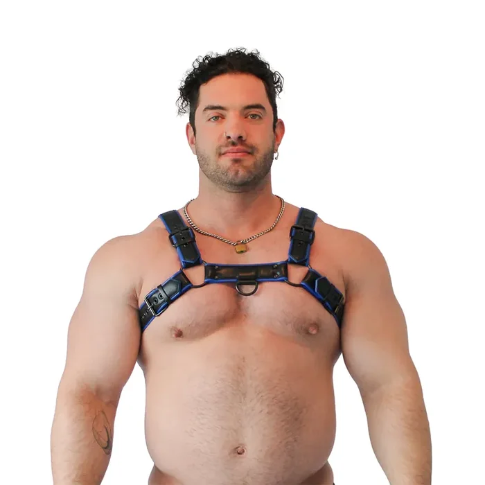 Veganer Bulldog Harness – Schwarz/Blau, Größe L/XL