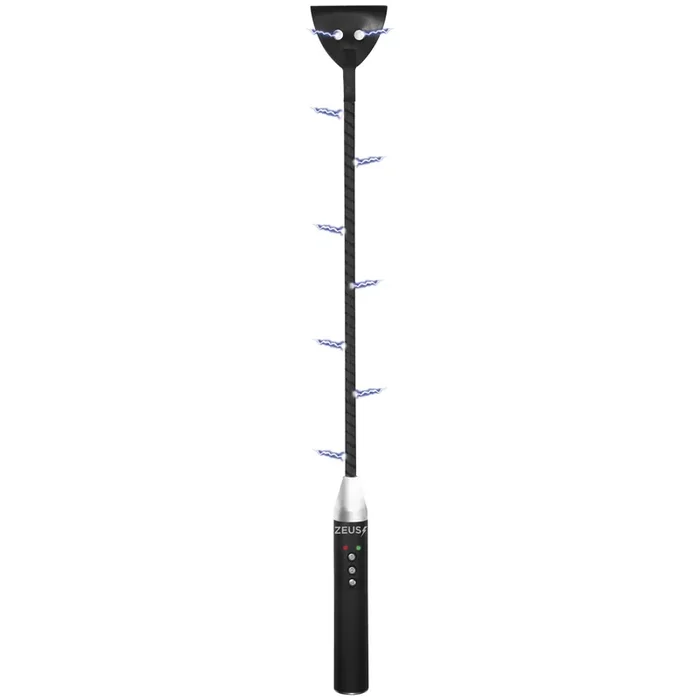 Zeus E-Stim Gerte